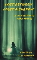 Cover: Lost Between Light & Shadow - Carlisle Legacy Books, LLC