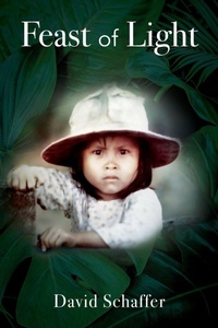 Enlarge image Cover: Feast of Light - Outskirts Press