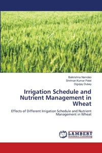 Enlarge image Cover: Irrigation Schedule and Nutrient Management in Wheat - LAP Lambert Academic Publishing