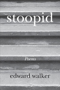 Enlarge image Cover: stoopid - Edward Walker