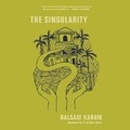 Cover: The Singularity - DREAMSCAPE MEDIA