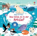 Cover: Kl&auml;nge der Natur: Was h&ouml;rst du in der Arktis? - Usborne