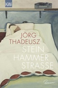 Cover: Steinhammerstra&szlig;e - Kiepenheuer & Witsch