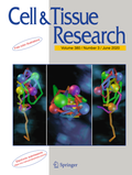 Bild: Cell and Tissue Research - Springer