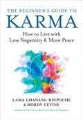 Cover: The Beginner's Guide to Karma - New World Library