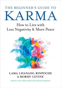 Enlarge image Cover: The Beginner's Guide to Karma - New World Library