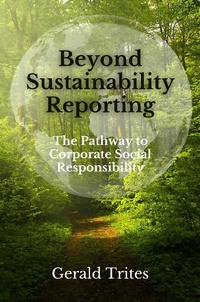 Abbildung von: Beyond Sustainability Reporting - Business Expert Press