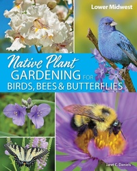 Abbildung von: Native Plant Gardening for Birds, Bees & Butterflies: Lower Midwest - Adventure Publications