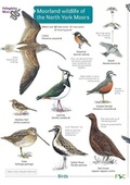 Cover: Moorland wildlife of the North York Moors - Field Studies Council