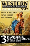 Cover: Western Dreierband 3042 - Uksak E-Books