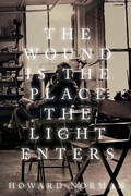 Cover: The Wound Is the Place the Light Enters - Texas A & M University Press