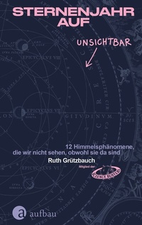 Abbildung von: Sternenjahr auf Unsichtbar - Aufbau