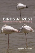 Abbildung von: Birds at Rest - Princeton University Press