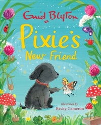 Abbildung von: Pixie's New Friend - Hodder Children's Books