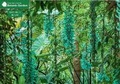 Cover: Jade Vine 1000 Piece Jigsaw Puzzle - Galileo Publishers
