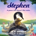 Cover: Stephen - Bk Royston Publishing
