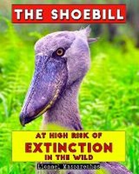 Abbildung von: The Shoebill - Shoebill LLC