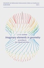 Cover: Imaginary elements in geometry - Verlag am Goetheanum