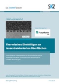 Cover: Thermisches Direktf&uuml;gen an laserstrukturierten Oberfl&auml;chen - Shaker