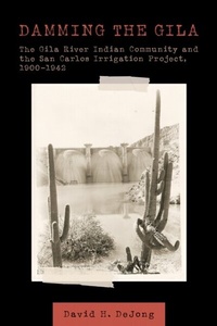 Bild: Damming the Gila - University of Arizona Press