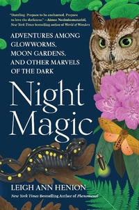 Bild: Night Magic - Little, Brown and Company