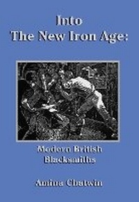 Abbildung von: Into The New Iron Age - Reardon Publishing