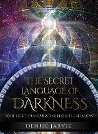 Enlarge image Cover: The Secret Language of Darkness - Blue Angel Gallery