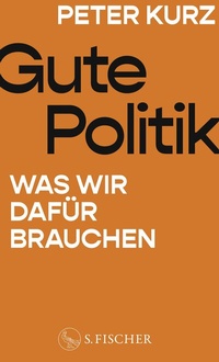 Abbildung von: Gute Politik - S. Fischer