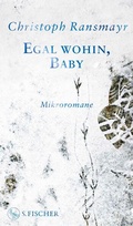 Cover: Egal wohin, Baby - S. Fischer