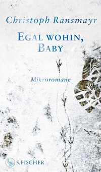 Abbildung von: Egal wohin, Baby - S. Fischer