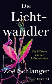 Abbildung von: Die Lichtwandler - S. Fischer