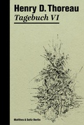 Cover: Tagebuch VI - Matthes & Seitz Berlin