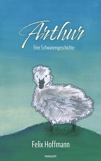 Enlarge image Cover: Arthur - novum Verlag