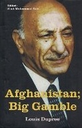 Cover: Afghanistan Big Gamble - INDO ARYANA BOOK CO