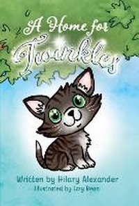 Enlarge image Cover: A Home for Twinkles - Izzy and Jack