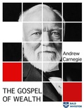 Cover: The Gospel of Wealth - Avia Artis