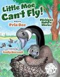 Cover: Little Moe Can't Fly - Boomi LLC