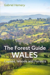 Enlarge image Cover: The Forest Guide: Wales - Bloomsbury Wildlife