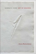 Cover: Somnath Hore - Mapin Publishing Pvt.Ltd