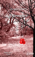 Cover: D&eacute;routes - Ex Aequo