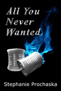 Cover: All You Never Wanted (Nobody Likes Megan McGowen, #2) - Stephanie Prochaska
