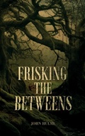 Cover: Frisking the Betweens - Publishing Push LTD