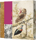 Cover: MAGIC METAMORPHOSIS - LIBRUM Publishers & Editors LLC