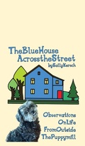 Cover: The Blue House Across the Street - IngramSpark