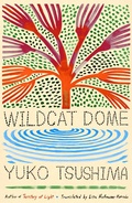 Bild: Wildcat Dome - Farrar, Straus and Giroux