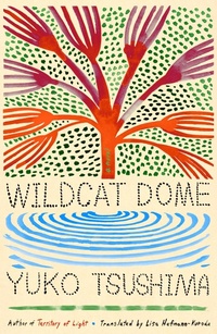 Abbildung von: Wildcat Dome - Farrar, Straus and Giroux