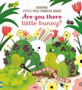 Cover: Are you there little Bunny - Usborne Publishing Ltd
