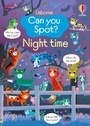 Cover: Can you Spot? Night time - Usborne Publishing Ltd
