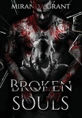 Cover: Broken Souls - Writing Evolution