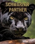 Cover: Schwarzer Panther - Silvertip Books